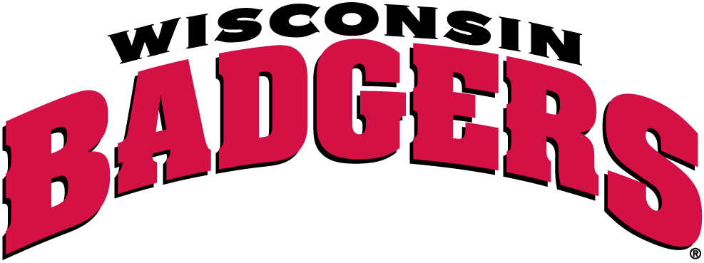 Wisconsin Badgers 2002-Pres Wordmark Logo 02 iron on paper